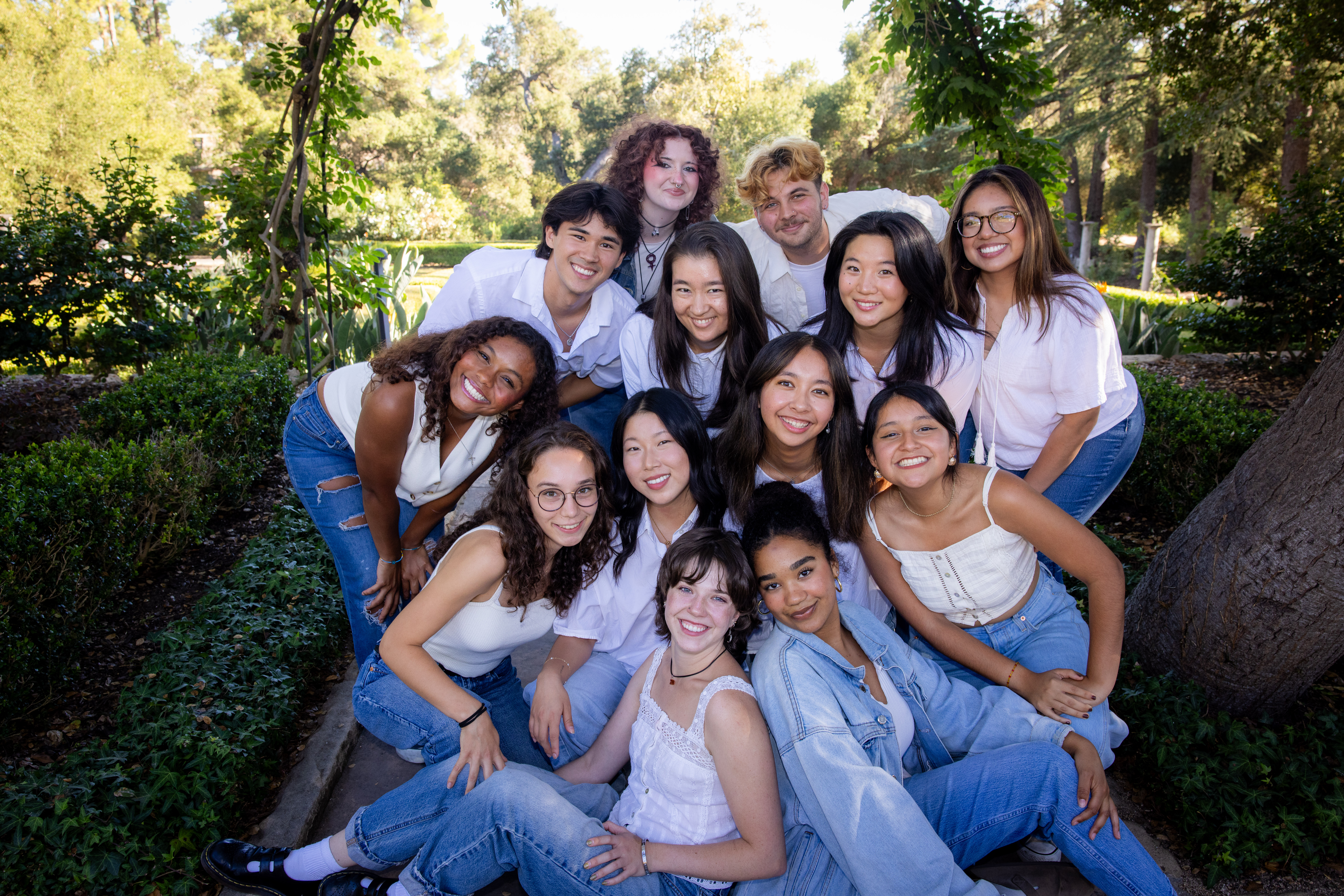 Intercultural Organizations (ICOs)