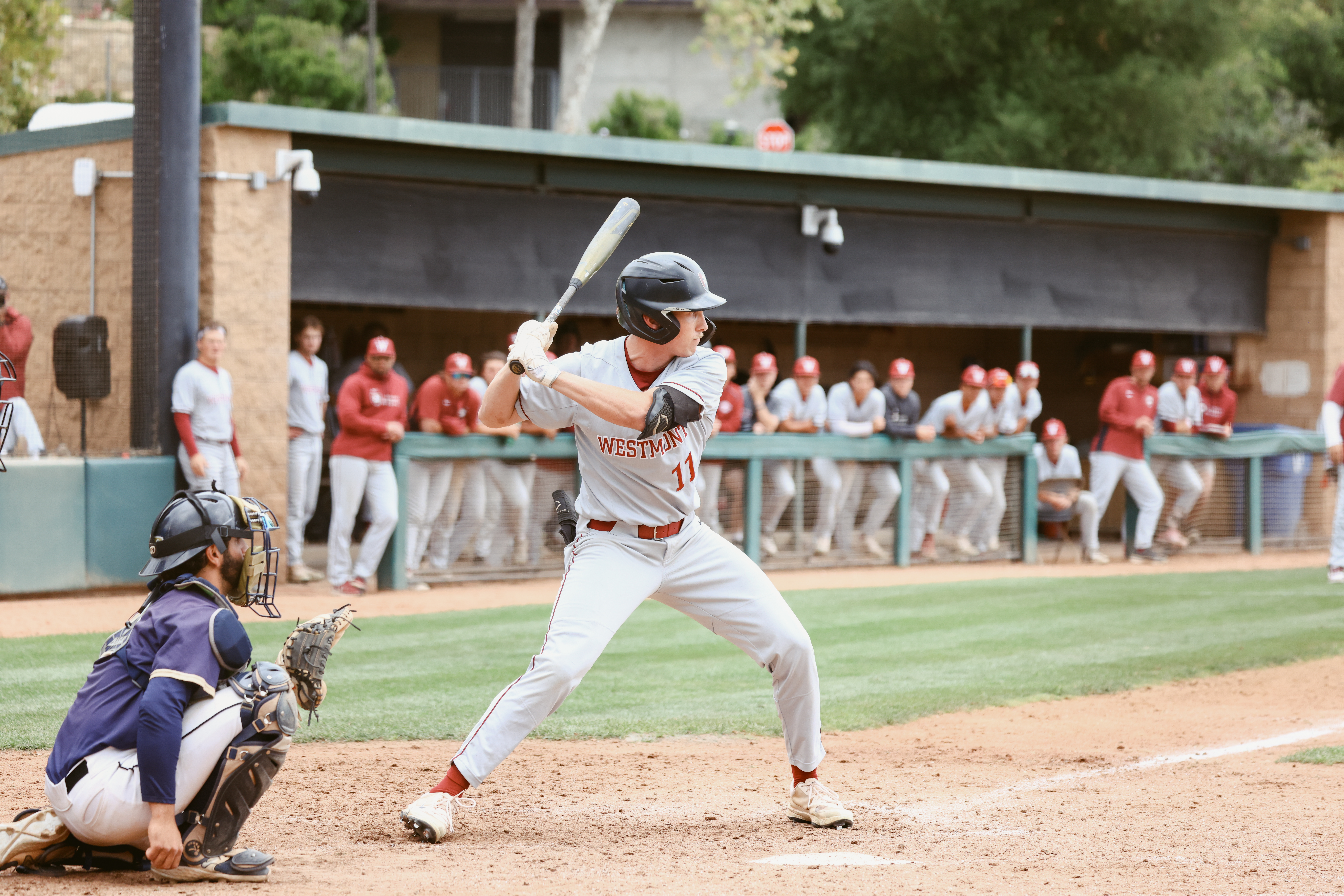 westmont baseball 2025
