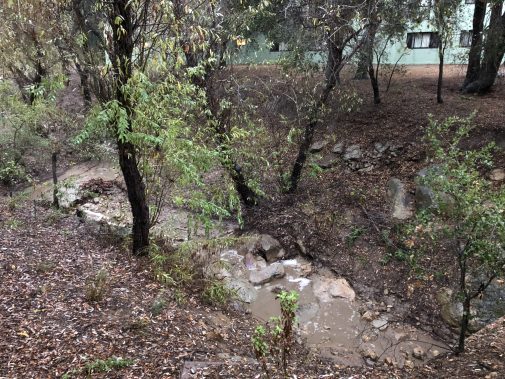 The Chelham Creek channel near Van Kampen Hall on Jan. 9