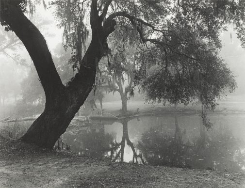 Jack Leigh (American, 1948-2004) Live Oak and Pond, 1999, printed 2003 Gelatin silver print