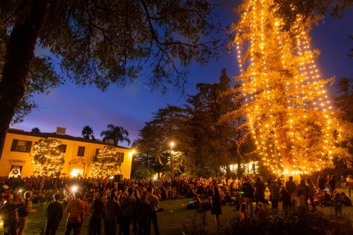 In recent years, hundreds of alumni would gather around the Pickle Tree to kick off the Christmas season.