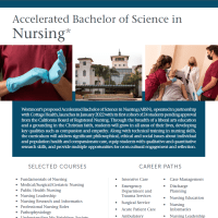 nursing major flyer
